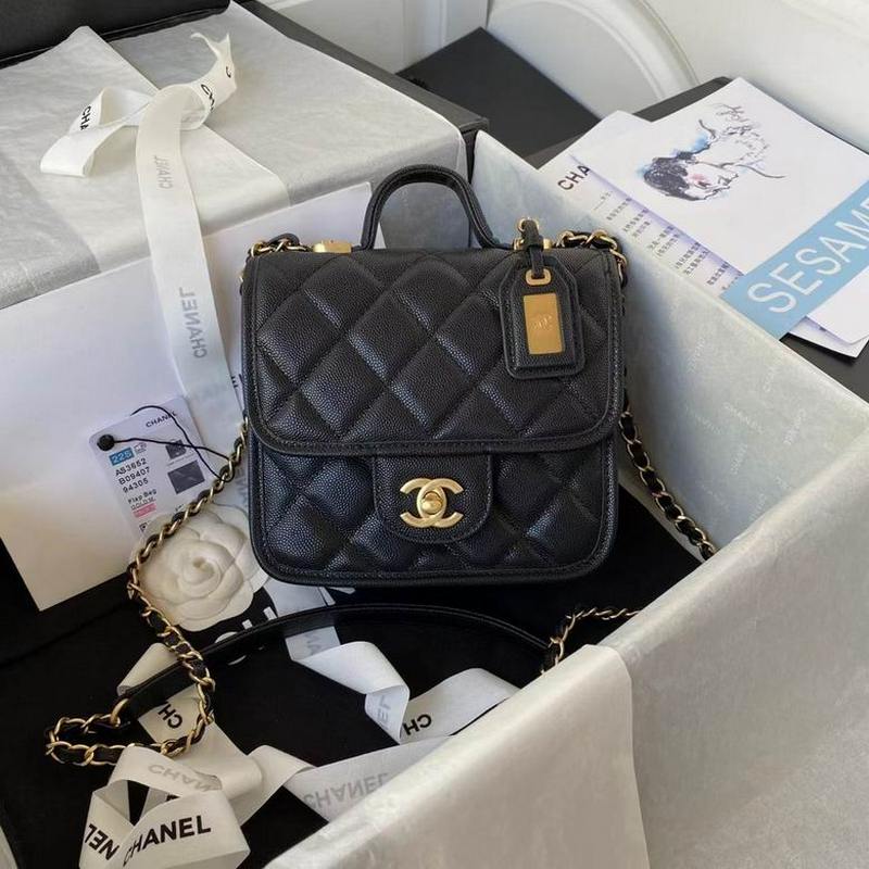 Chanel Handbags 224